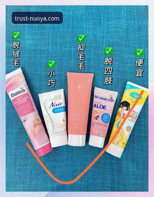 揭秘诺亚体育用户评价：老用户亲测后的真实体验与使用技巧