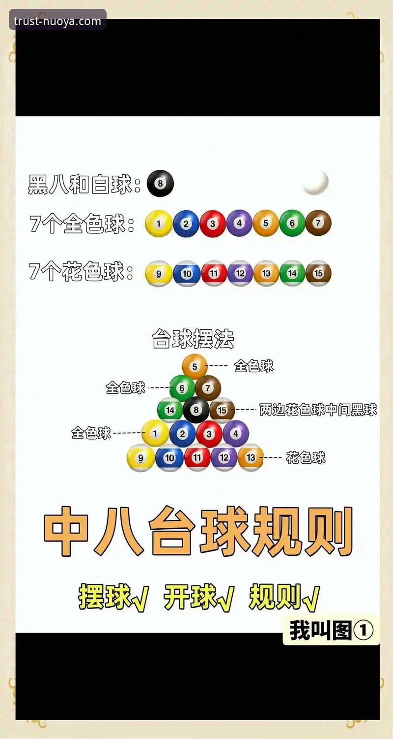 诺亚体育平台下载安装全攻略：老用户手把手教学指南